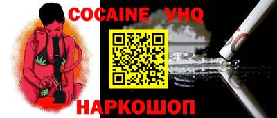 дмт Кингисепп