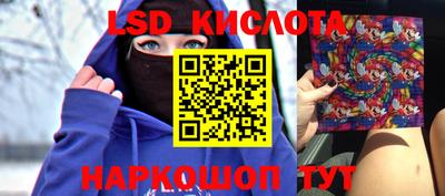 дмт Кингисепп