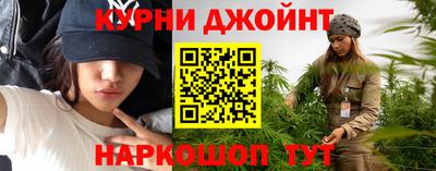 дмт Кингисепп