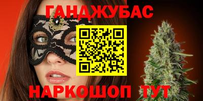 дмт Кингисепп