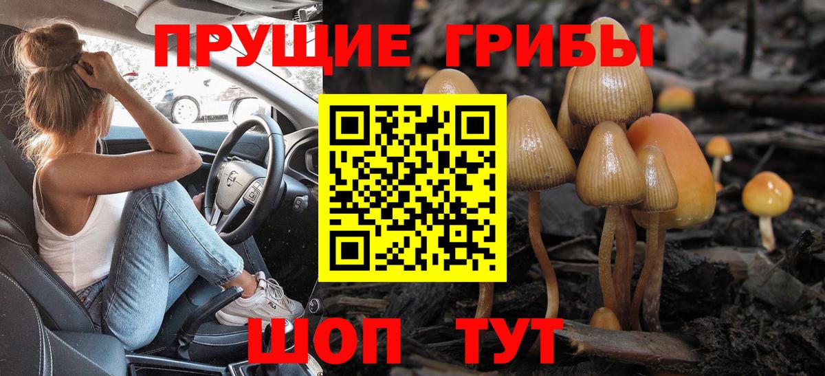 Галлюциногенные грибы GOLDEN TEACHER  Вход с VPN  Псилоцибиновые грибы ЛСД  где найти наркотики  Зерноград 