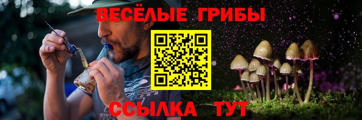 Галлюциногенные грибы мухоморы Зерноград